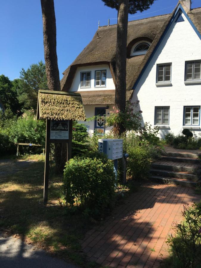 Fewo Sonnenblume Achtern Diek Zingst Exterior foto