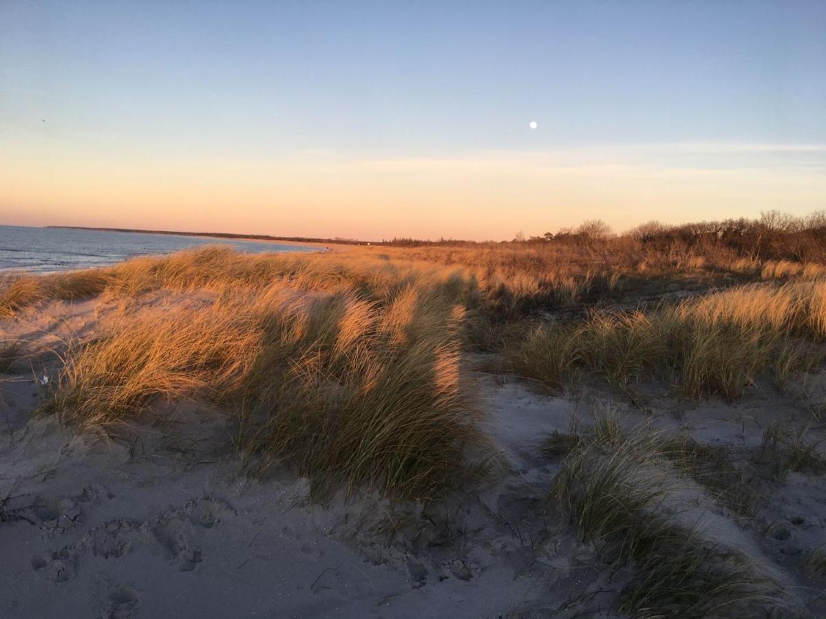 Fewo Sonnenblume Achtern Diek Zingst Exterior foto